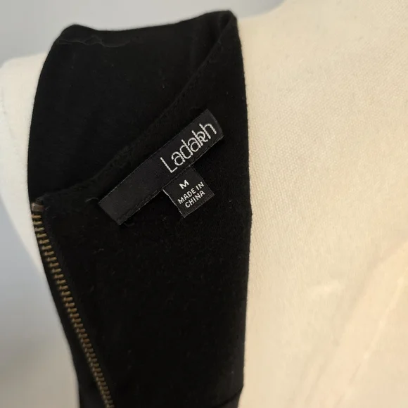 Ladakh | Medium | Black Keyhole Bodycon Sleeveless Dress - Picture 7 of 10